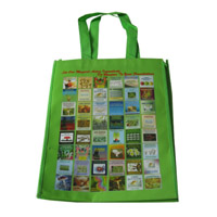 毕节LB11覆膜无纺布广告袋